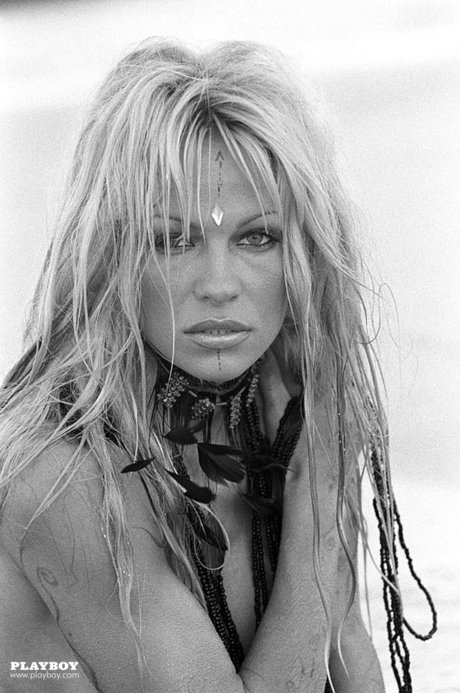 Pamela Anderson modello adulto immagine